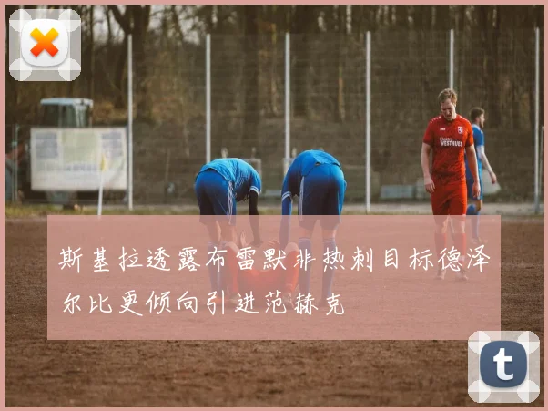 斯基拉透露布雷默非热刺目标德泽尔比更倾向引进范赫克