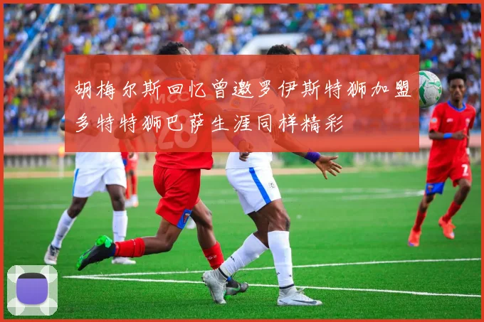 胡梅尔斯回忆曾邀罗伊斯特狮加盟多特特狮巴萨生涯同样精彩