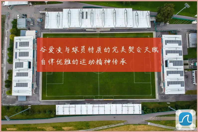 谷爱凌与球员特质的完美契合天赋自律优雅的运动精神传承